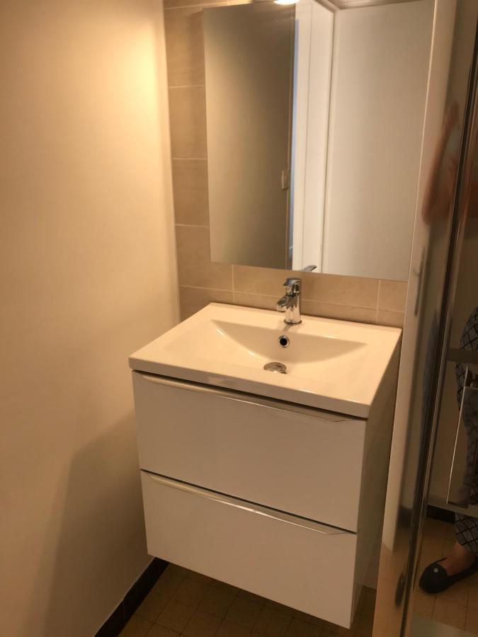 Grenoble Joli Appartement Zewnętrze zdjęcie